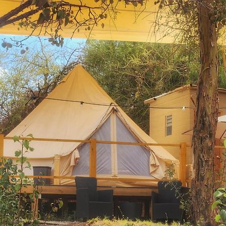 Glamping Dunas Del Sol San Pedro de Atacama Buitenkant foto