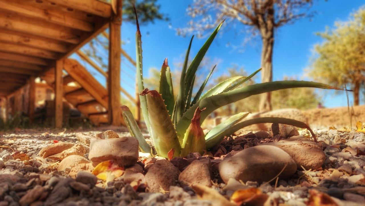 Glamping Dunas Del Sol San Pedro de Atacama Buitenkant foto