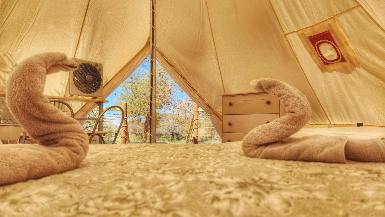 Glamping Dunas Del Sol San Pedro de Atacama Buitenkant foto